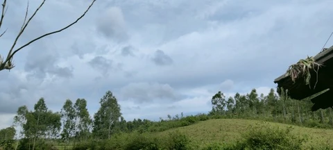 ପଟ୍‌